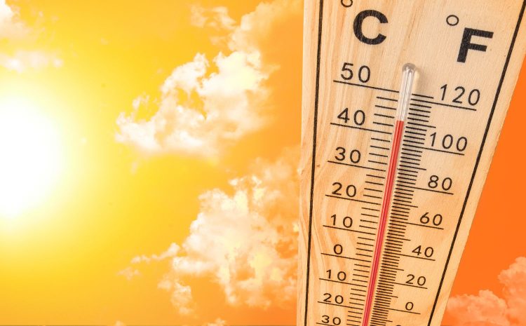  Extreme heat is becoming a business risk: is your organisation prepared?