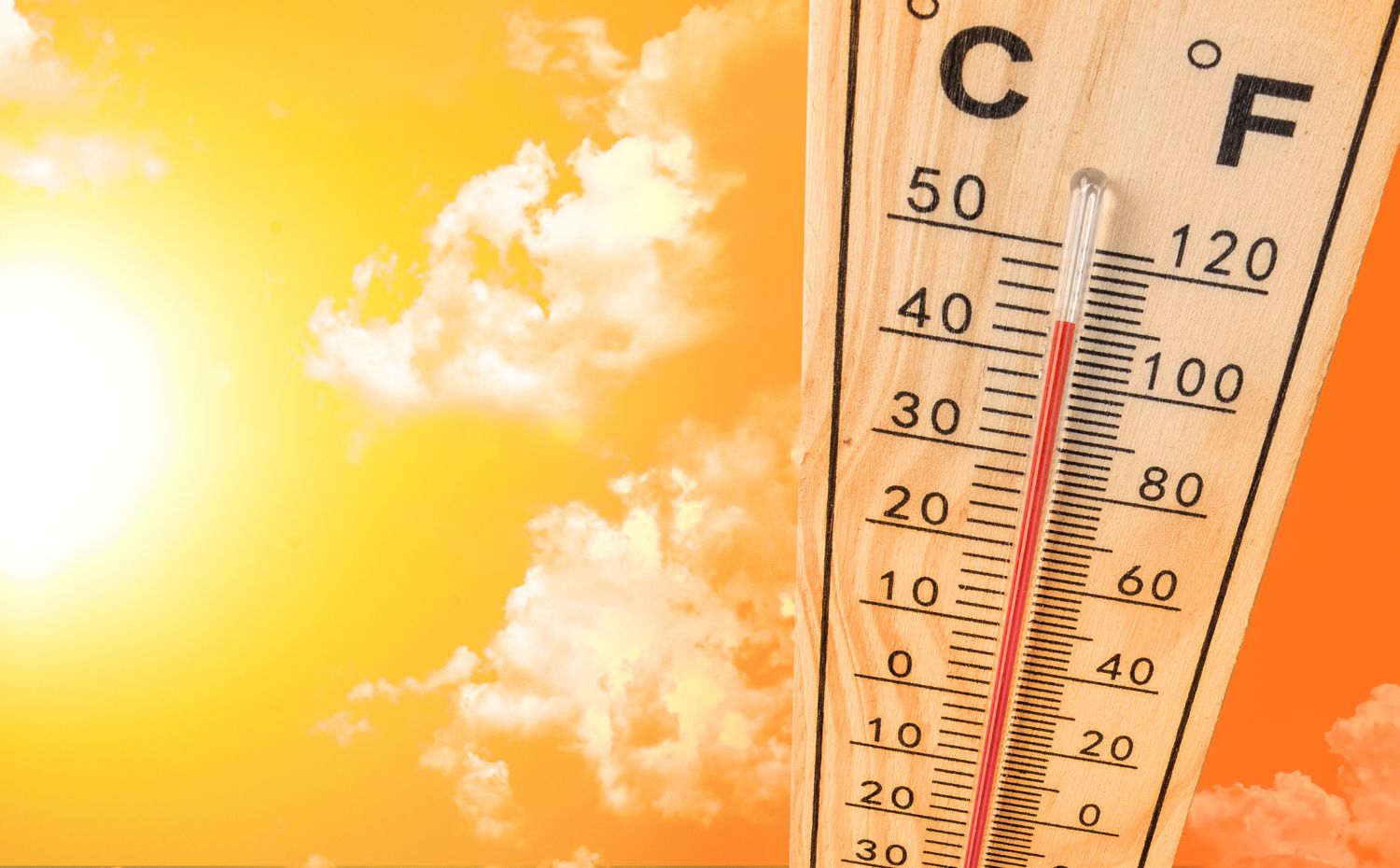 https://climateexpo.org.uk/author/admin/