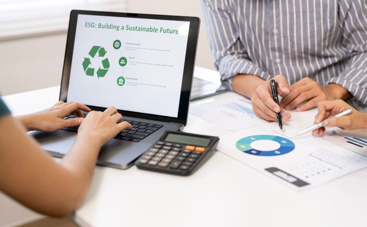  UK Sustainability Reporting Standards: why SMEs should pay attention too